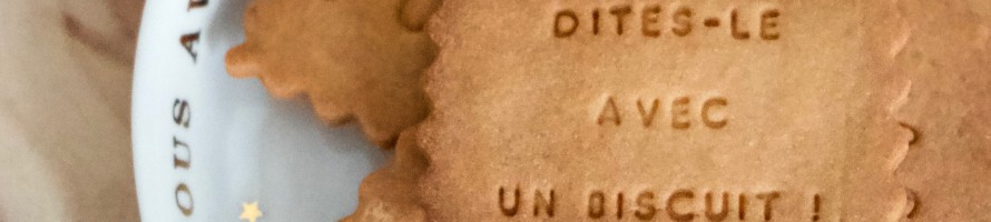 biscuit-web biscuit-web