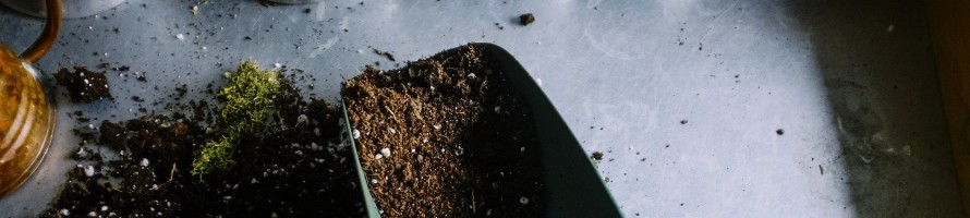 gardening-6909401920 gardening-6909401920