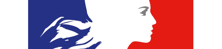 introfranceservices-1200x630 introfranceservices-1200x630